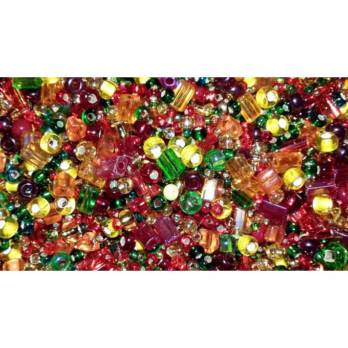 Seed Bead Mixes mélange Fall  (x20g)