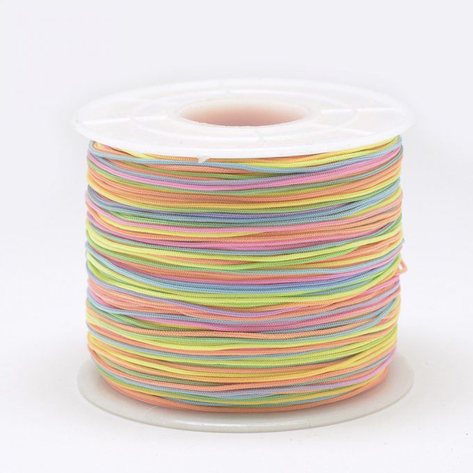 Fil polyester  Ø 0.5/0.6mm  multicolore clair